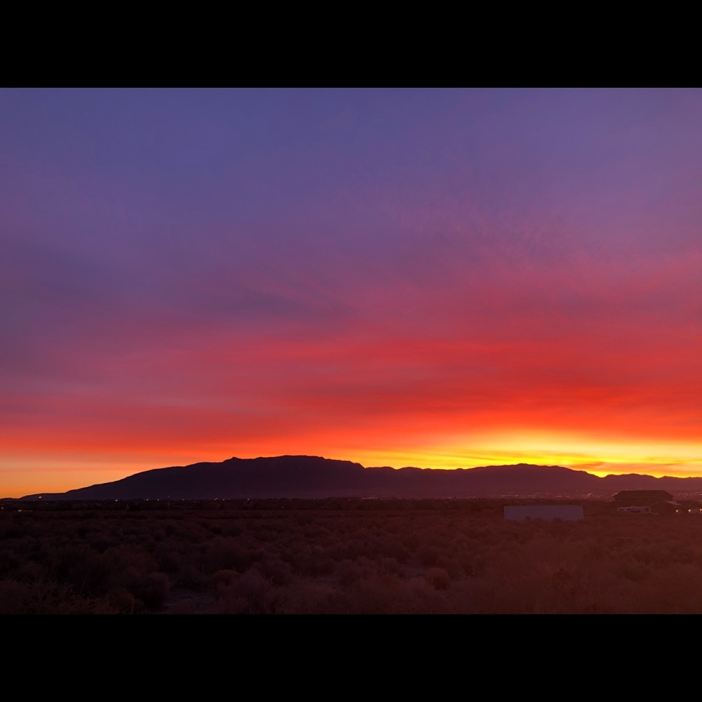 Meet your Posher, Tanya